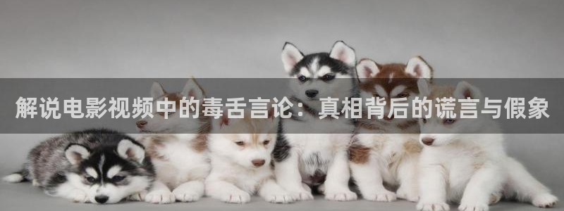 新闻图片
