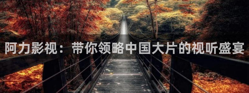 茄子视频一