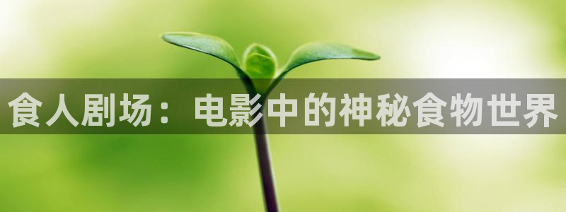 茄子视频色版
