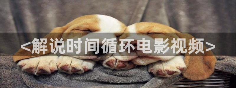 茄子视频一