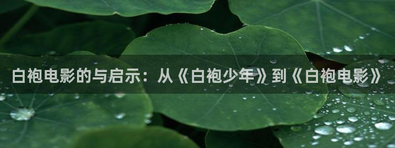 茄子视频a