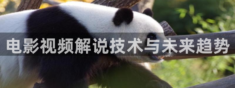 四虎茄子视频