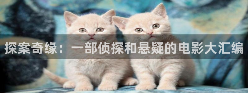 茄子视频www