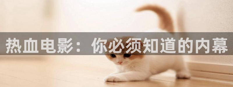 茄子视频色版