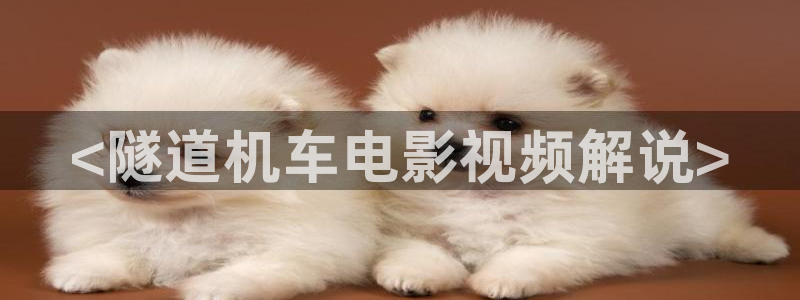茄子视频