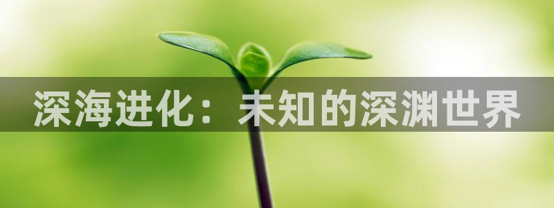 茄子视频