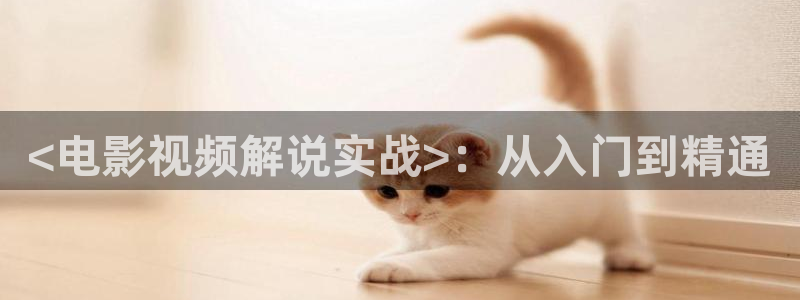 茄子视频了