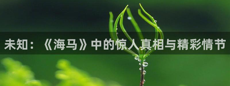 大茄子视频