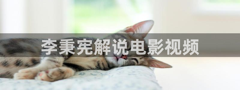 大茄子视频
