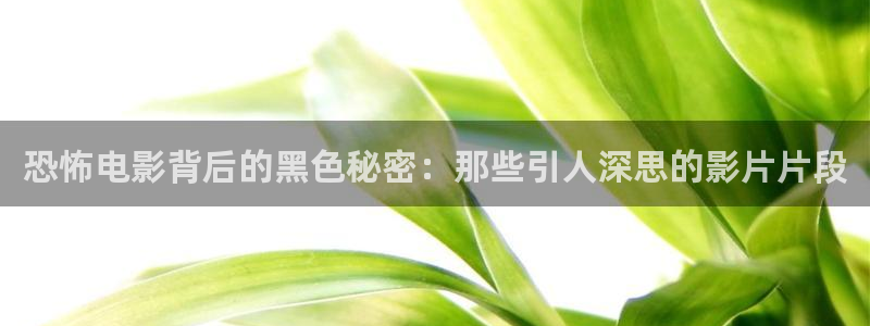丝瓜茄子视频在线观看