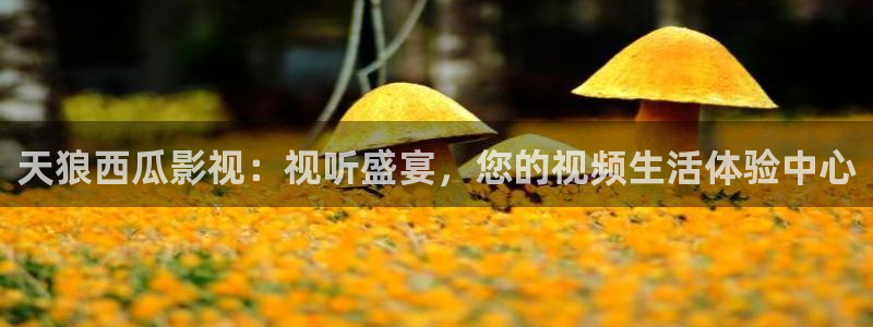 樱花视频茄子视频