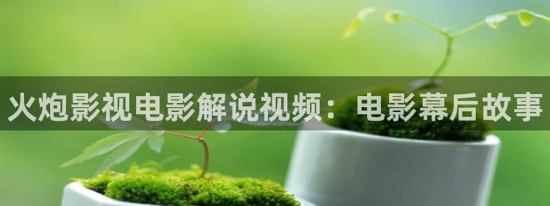 四虎茄子视频
