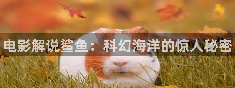 樱桃茄子视频